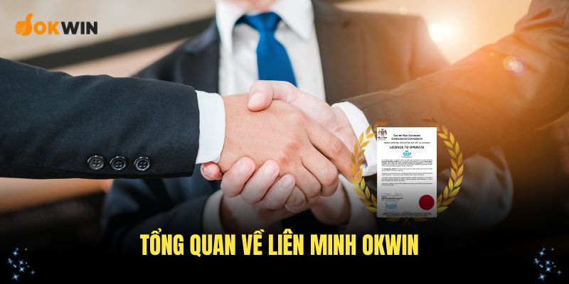 Tổng quan về liên minh OKWIN và định hướng phát triển